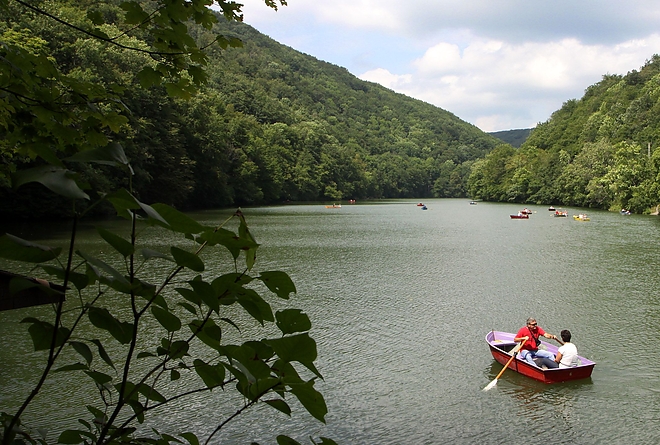 hamori_to_140805ml.jpg
